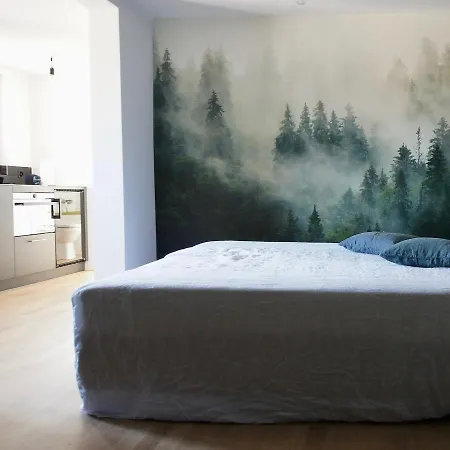 Ni Fravi Apartments, West Διαμέρισμα Ιντερλάκεν