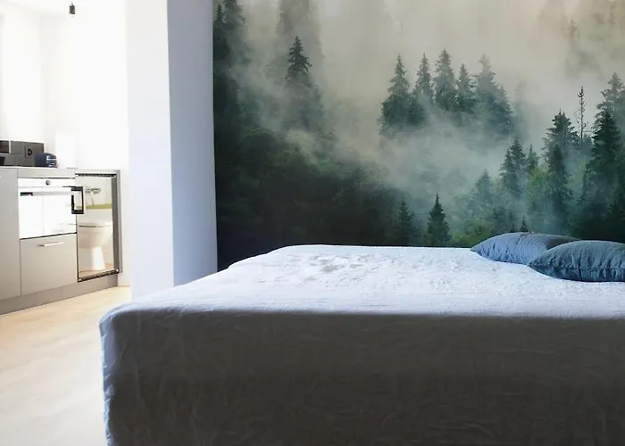 Ni Fravi Apartments, West Lägenhet Interlaken